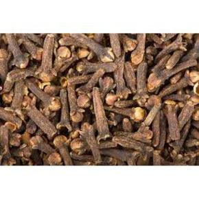 Nunc congue dui nec...