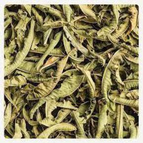 Nunc congue dui nec...