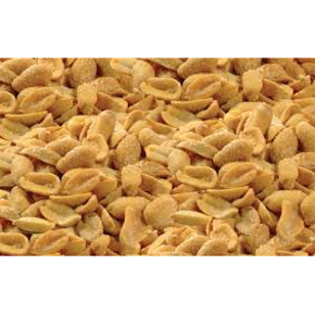 Nunc congue dui nec...