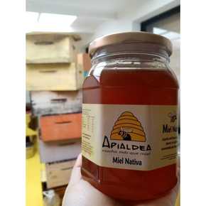 Nunc congue dui nec...