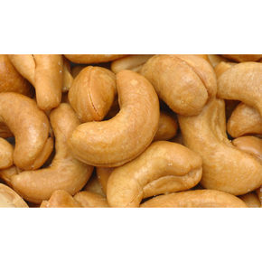 Nunc congue dui nec...