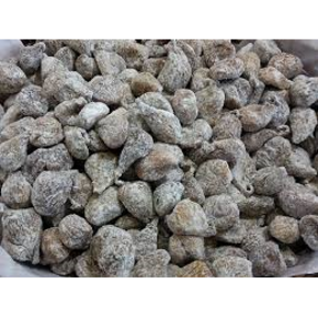 Nunc congue dui nec...