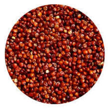 Ced Quinoa Roja   500GR {}