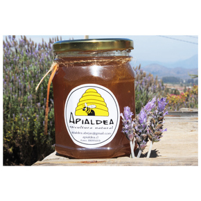 Nunc congue dui nec...